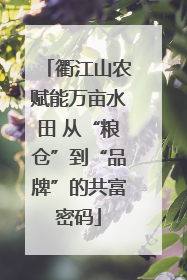 衢江山农赋能万亩水田 从“粮仓”到“品牌”的共富密码