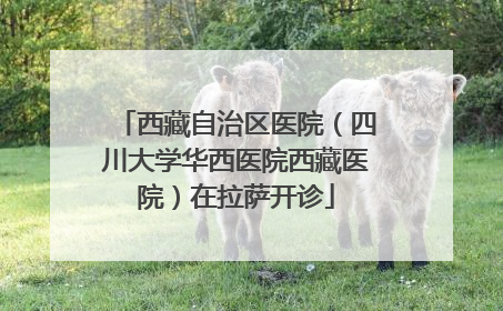西藏自治区医院（四川大学华西医院西藏医院）在拉萨开诊