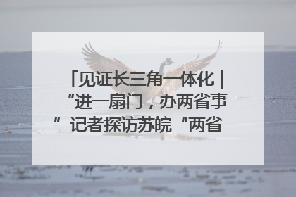 见证长三角一体化｜“进一扇门，办两省事”记者探访苏皖“两省一街”警务室