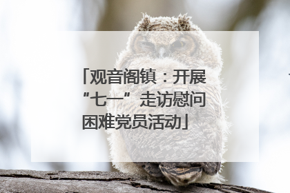 观音阁镇：开展“七一”走访慰问困难党员活动