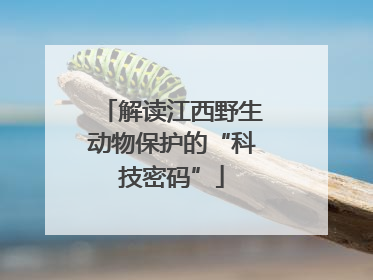 解读江西野生动物保护的“科技密码”