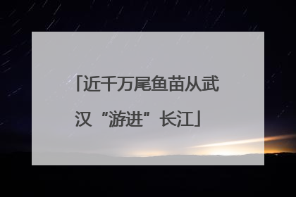 近千万尾鱼苗从武汉“游进”长江