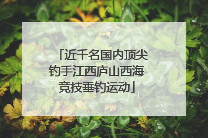 近千名国内顶尖钓手江西庐山西海竞技垂钓运动
