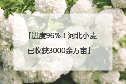 进度96%！河北小麦已收获3000余万亩