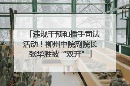 违规干预和插手司法活动！柳州中院副院长张华胜被“双开”