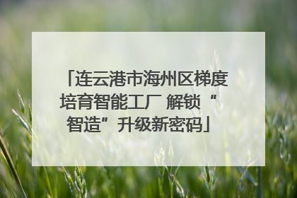 连云港市海州区梯度培育智能工厂 解锁“智造”升级新密码