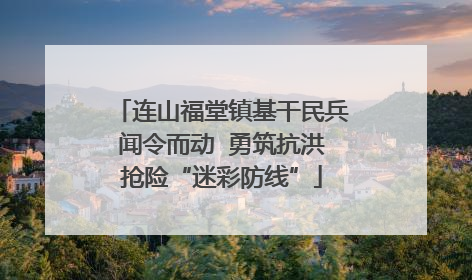 连山福堂镇基干民兵闻令而动  勇筑抗洪抢险“迷彩防线”