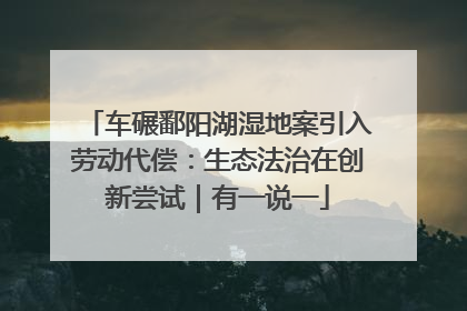 车碾鄱阳湖湿地案引入劳动代偿：生态法治在创新尝试｜有一说一
