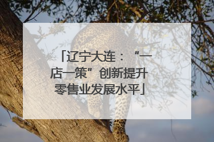 辽宁大连：“一店一策”创新提升零售业发展水平