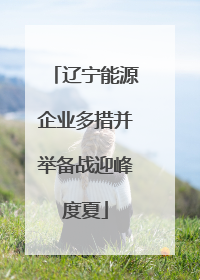 辽宁能源企业多措并举备战迎峰度夏