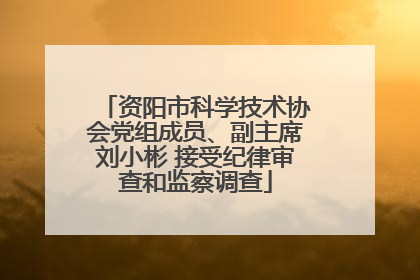 资阳市科学技术协会党组成员、副主席刘小彬 接受纪律审查和监察调查