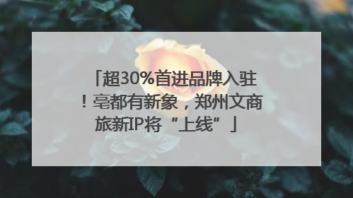 超30%首进品牌入驻！亳都有新象，郑州文商旅新IP将“上线”
