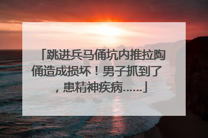 跳进兵马俑坑内推拉陶俑造成损坏！男子抓到了，患精神疾病……