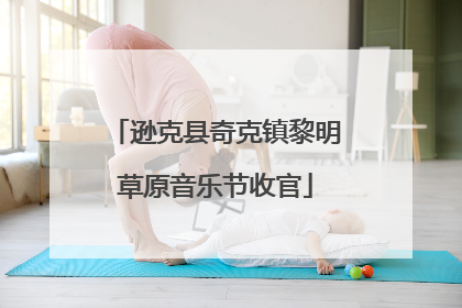 逊克县奇克镇黎明草原音乐节收官