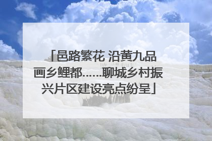 邑路繁花 沿黄九品 画乡鲤都……聊城乡村振兴片区建设亮点纷呈