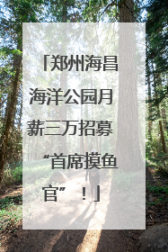 郑州海昌海洋公园月薪三万招募“首席摸鱼官”！