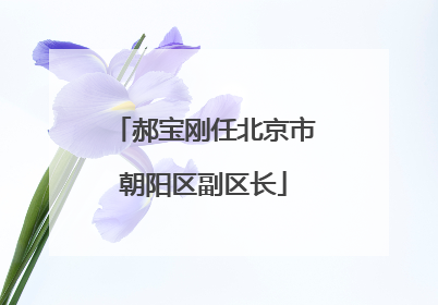 郝宝刚任北京市朝阳区副区长