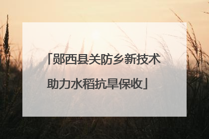 郧西县关防乡新技术助力水稻抗旱保收