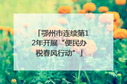 鄂州市连续第12年开展“便民办税春风行动”