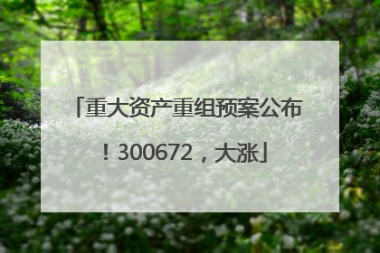 重大资产重组预案公布！300672，大涨
