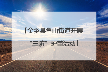 金乡县鱼山街道开展“三防”护苗活动