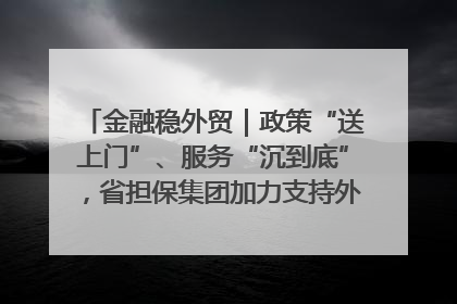 金融稳外贸｜政策“送上门”、服务“沉到底”，省担保集团加力支持外经贸高质量发展