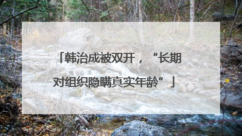 韩治成被双开，“长期对组织隐瞒真实年龄”