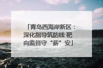 青岛西海岸新区：深化指导筑防线 靶向监督守“薪”安