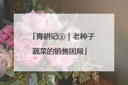 青耕记③｜老种子蔬菜的销售困局