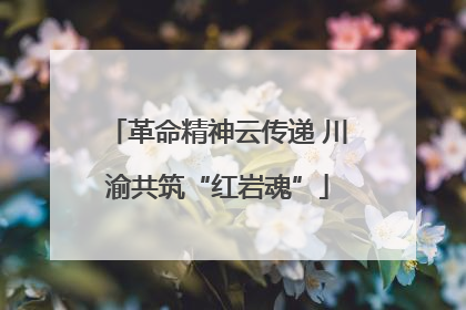 革命精神云传递 川渝共筑“红岩魂”