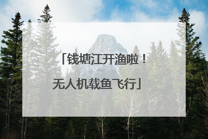 钱塘江开渔啦！无人机载鱼飞行
