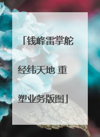 钱峰雷掌舵经纬天地 重塑业务版图