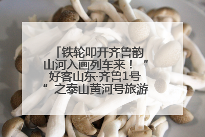 铁轮叩开齐鲁韵 山河入画列车来！“好客山东·齐鲁1号”之泰山黄河号旅游列车首发活动侧记