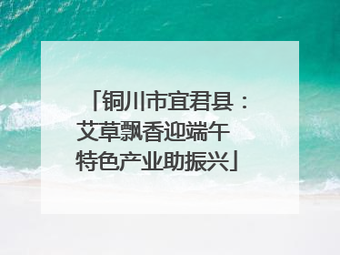 铜川市宜君县：艾草飘香迎端午 特色产业助振兴