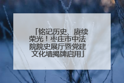 铭记历史、赓续荣光！枣庄市中法院院史展厅暨党建文化墙揭牌启用