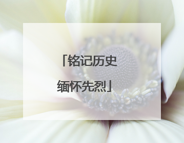 铭记历史 缅怀先烈