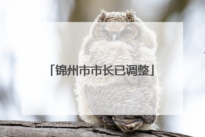 锦州市市长已调整
