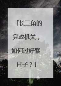 长三角的党政机关，如何过好紧日子？