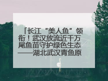 长江“美人鱼”领衔！武汉放流近千万尾鱼苗守护绿色生态——湖北武汉青鱼原种场参加2025年“全国放鱼日”增殖放流活动