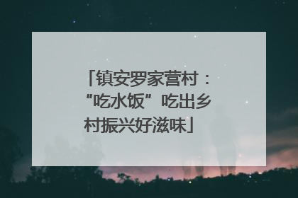 镇安罗家营村：“吃水饭”吃出乡村振兴好滋味