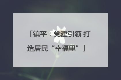 镇平：党建引领 打造居民“幸福里”