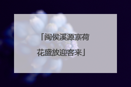 闽侯溪源寨荷花盛放迎客来