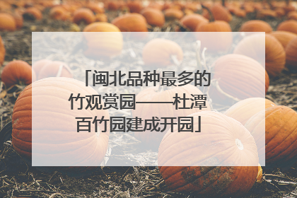 闽北品种最多的竹观赏园——杜潭百竹园建成开园