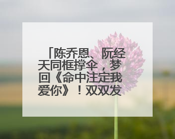 陈乔恩、阮经天同框撑伞，梦回《命中注定我爱你》！双双发文：谢谢我们都没变