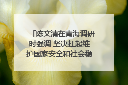陈文清在青海调研时强调 坚决扛起维护国家安全和社会稳定职责使命 为谱写中国式现代化青海篇章贡献政法力量