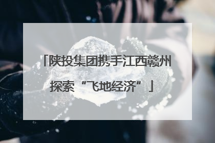陕投集团携手江西赣州 探索“飞地经济”
