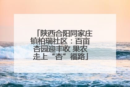 陕西合阳同家庄镇柏瑞社区：百亩杏园迎丰收 果农走上“杏”福路