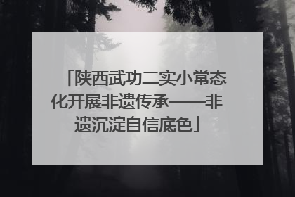 陕西武功二实小常态化开展非遗传承——非遗沉淀自信底色
