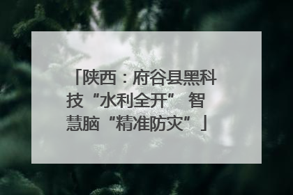 陕西：府谷县黑科技“水利全开” 智慧脑“精准防灾”