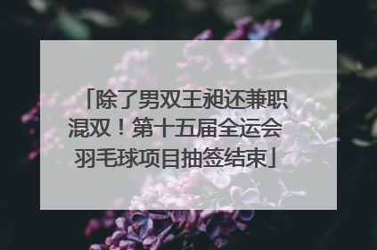 除了男双王昶还兼职混双！第十五届全运会羽毛球项目抽签结束